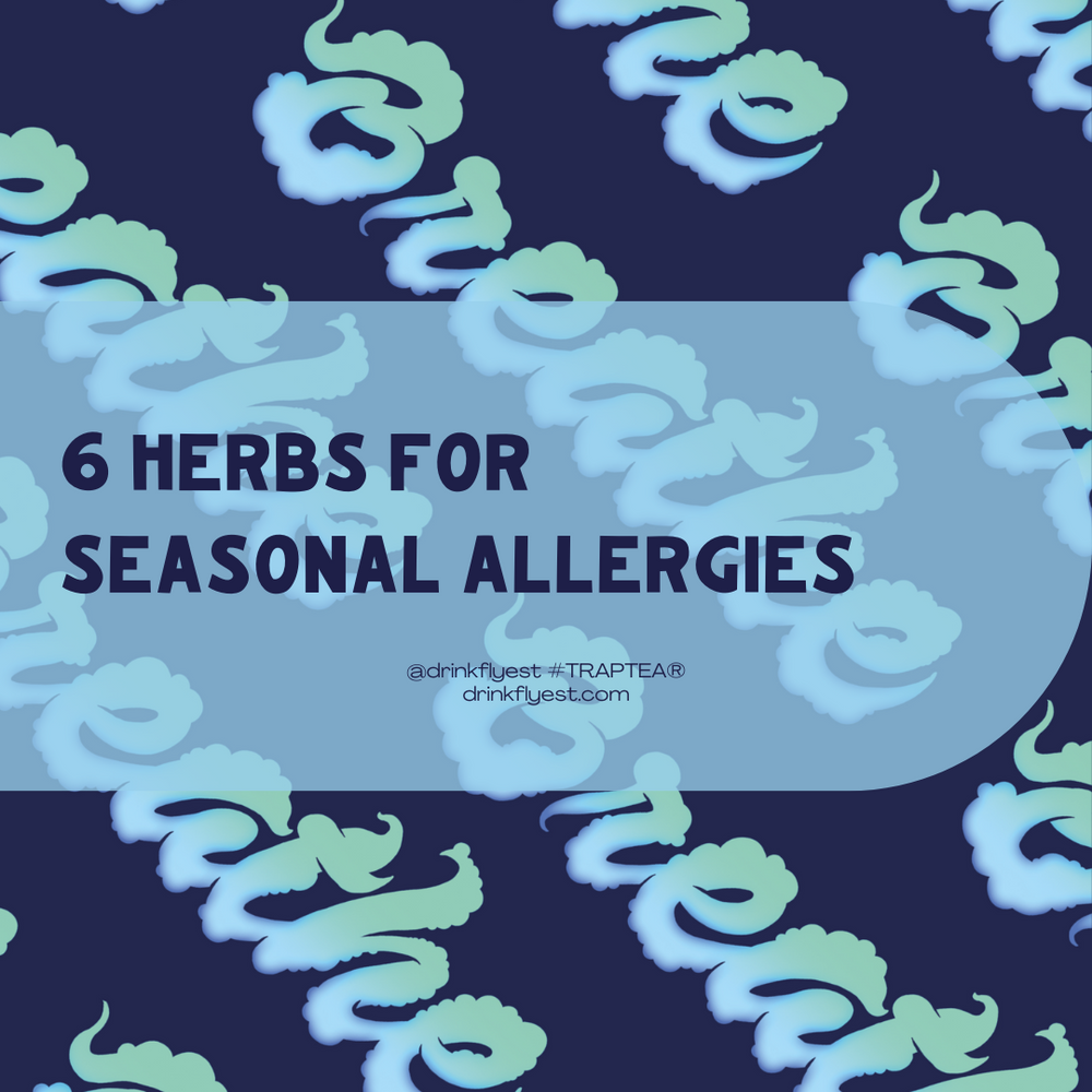6 Herbs for Seasonal Allergies
