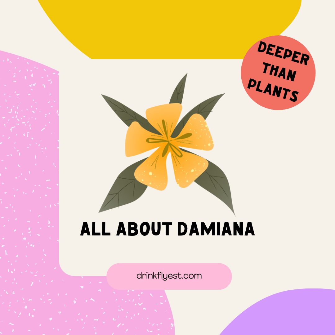 Deeper Than Plants: Damiana