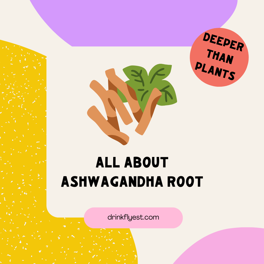 Deeper Than Plants: All About Ashwagandha