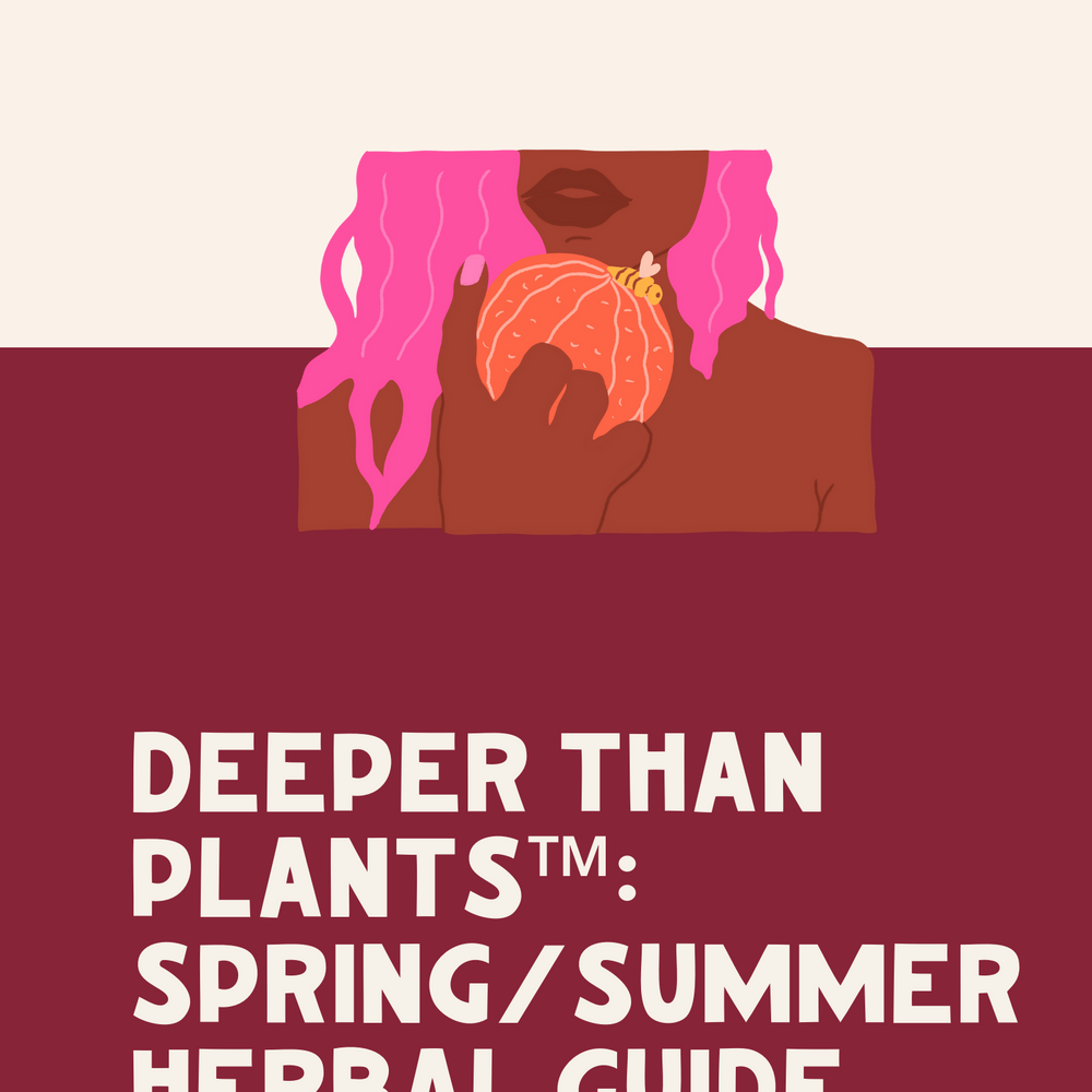 
                  
                    Spring-Summer Herbal Guide
                  
                